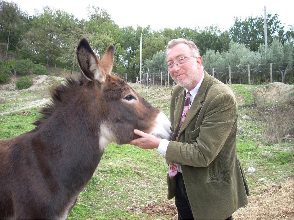 הוילה בטיפאליה Masseria Sparano מראה חיצוני תמונה